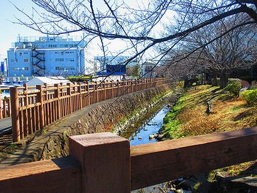 20210220武蔵小杉 (4)遊歩道