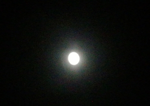 moon32.jpg