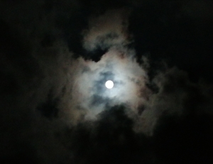 moon36.jpg