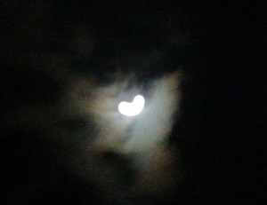 moon39.jpg
