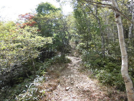 入笠山登山2