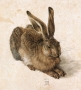 Durer_Young_Hare.jpg