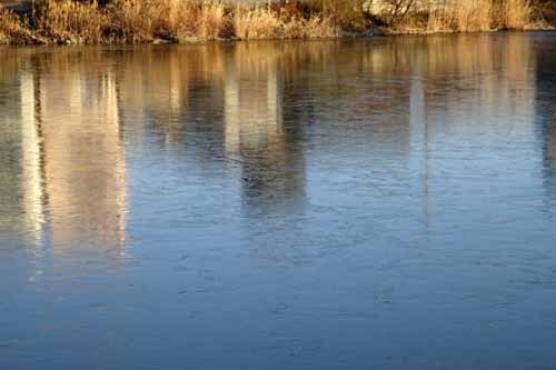 池凍結