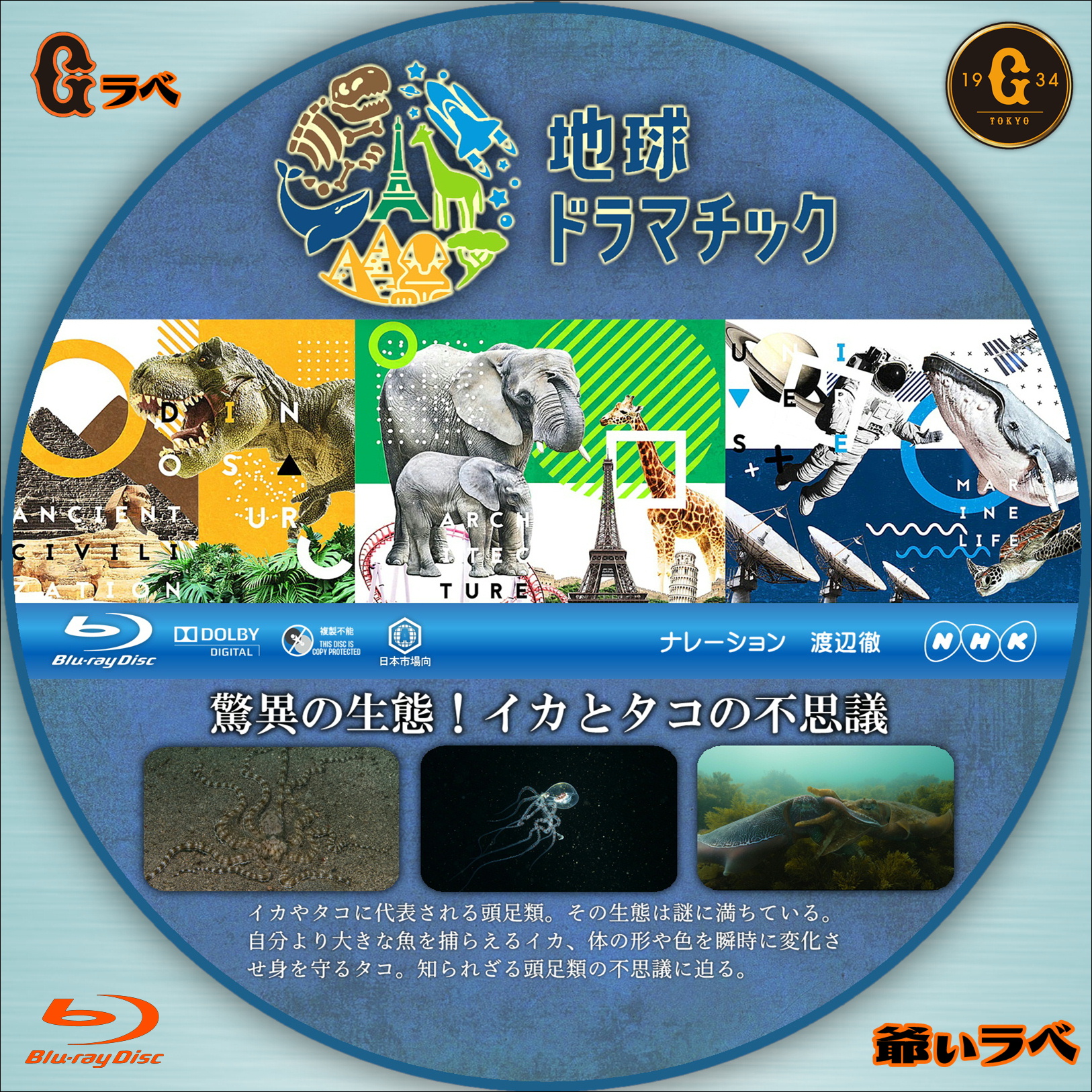 NHK 地球ドラマチック 驚異の生態！イカとタコの不思議（Blu-ray）