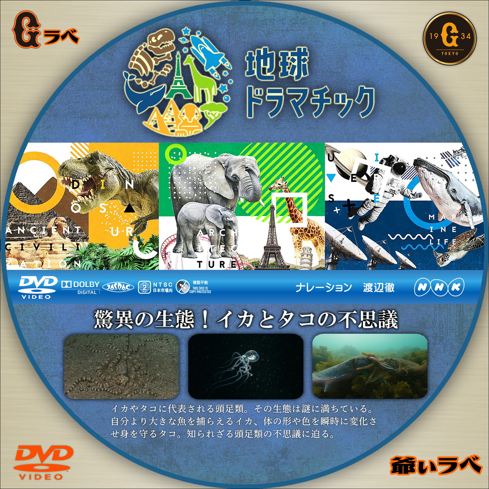NHK 地球ドラマチック 驚異の生態！イカとタコの不思議（DVD）
