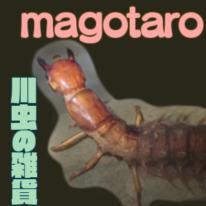 2020_magotaro_logo.jpeg