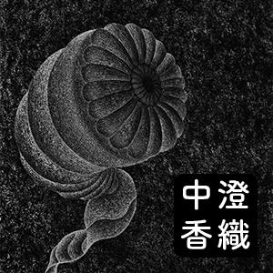 2020_中澄香織_logo
