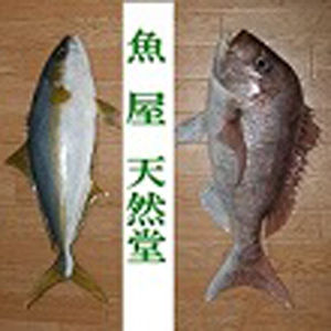 2020_魚屋　天然堂_logo