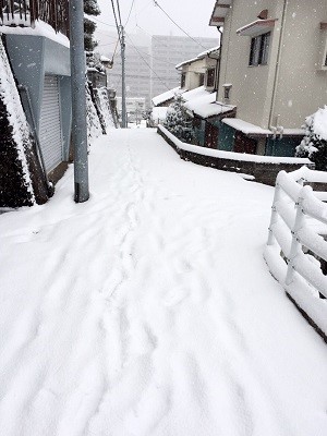 長崎の雪