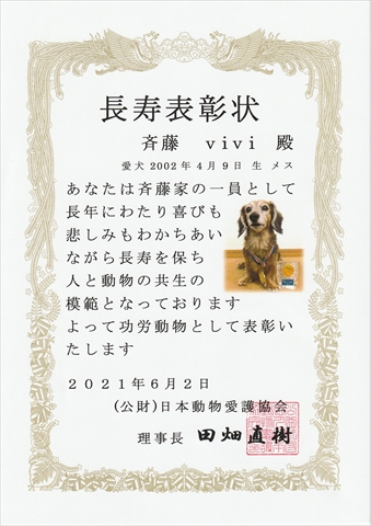 長寿犬表彰vivi_R