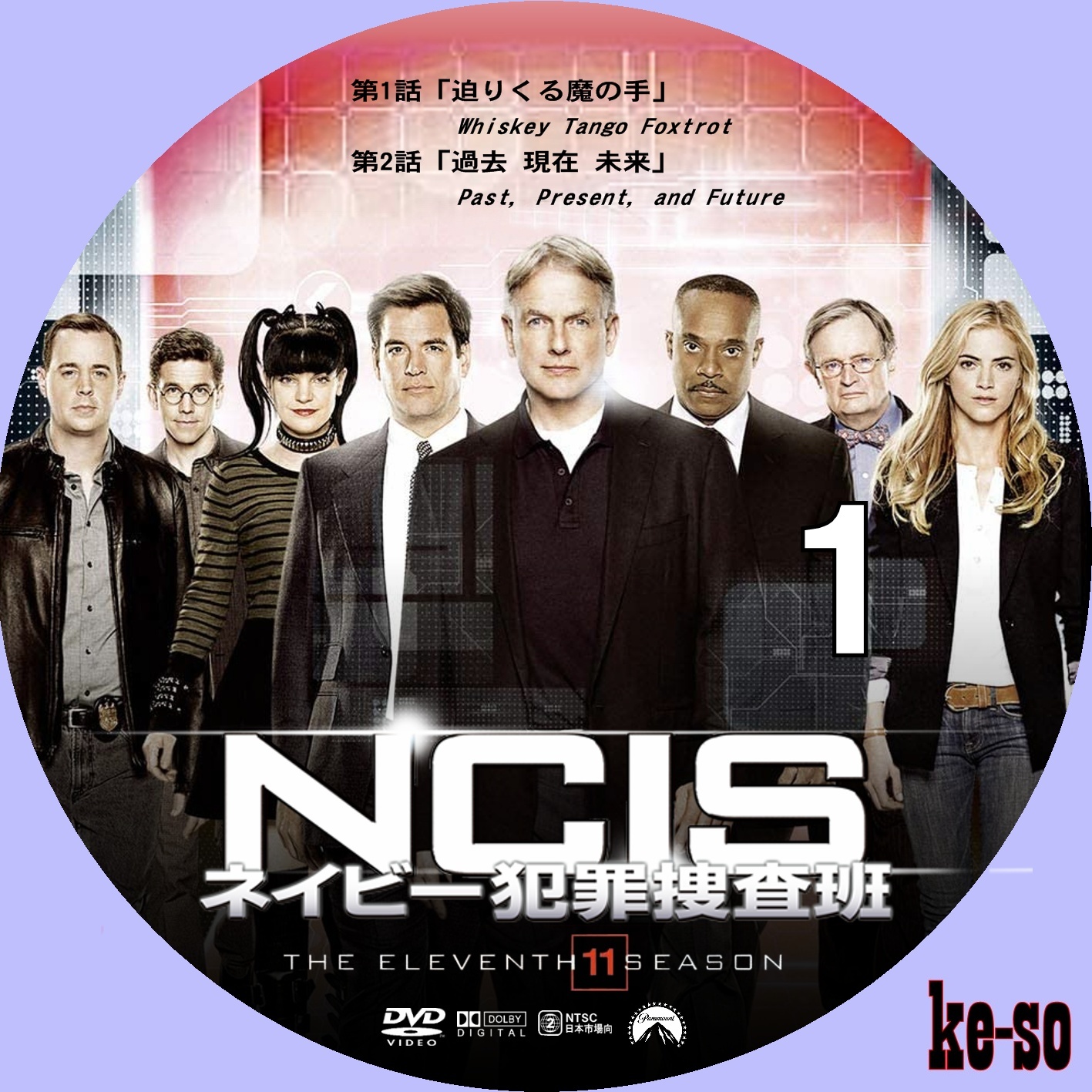 NCIS ネイビー犯罪捜査班 シーズン11 | メジャーじゃないDVDラベル