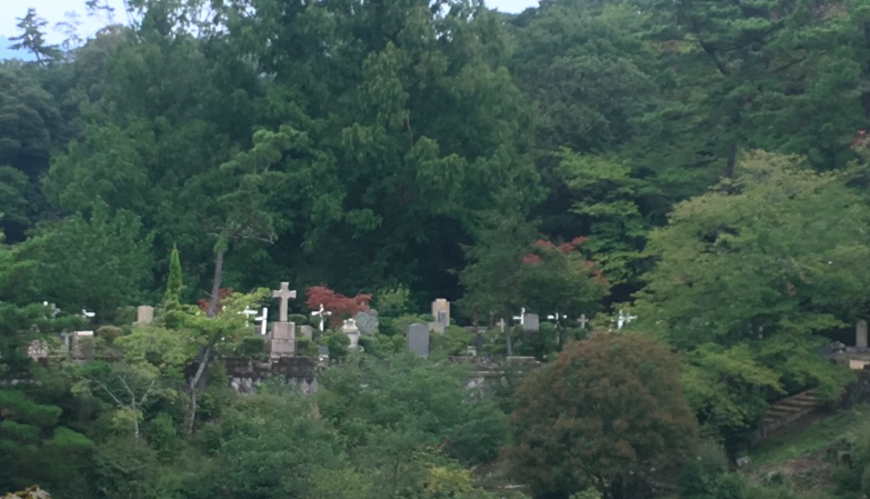 3墓地