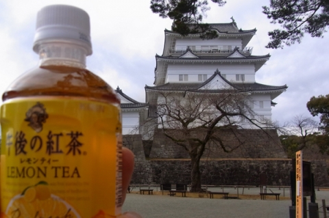 紅茶と小田原城