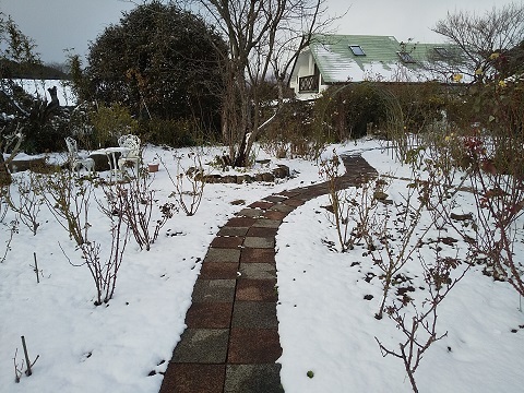 雪景色 (2)