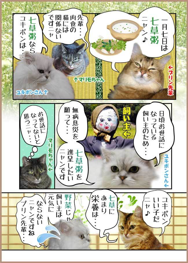 2021-01-07-Thu-02-Ba-七草粥の猫写真漫画-七草粥は野菜