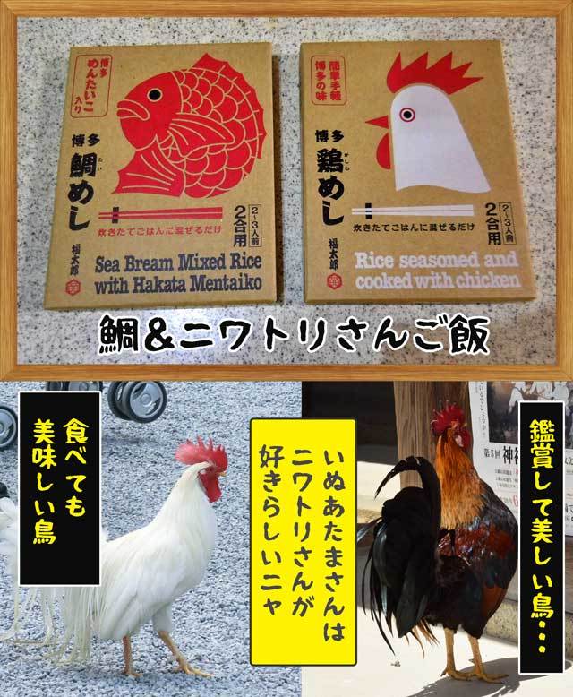 2021-02-22-Mon-17-鶏と鯛のご飯_DSCN9811