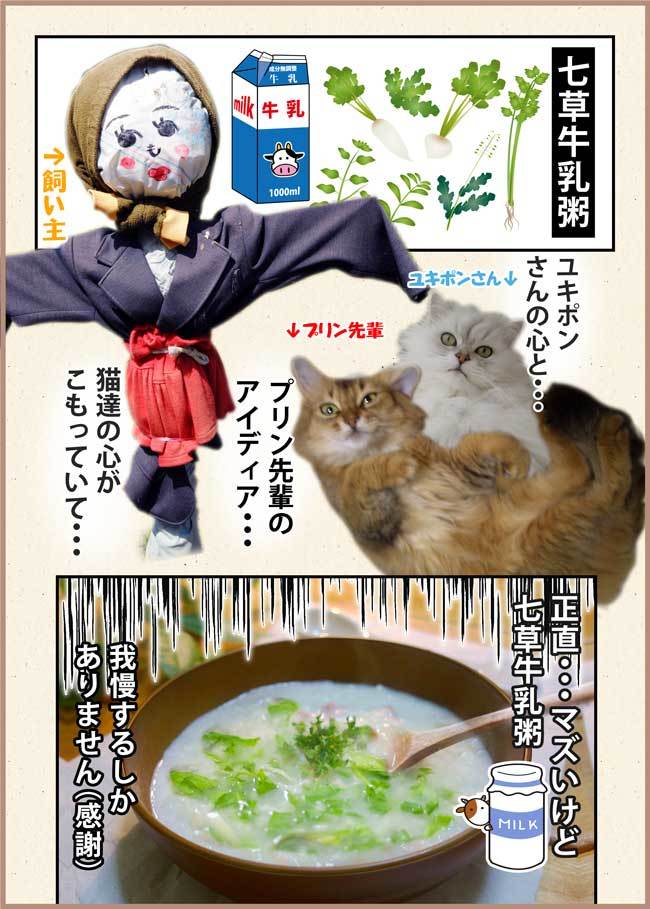 2021-01-07-Thu-04-Bc-七草粥の猫写真漫画-飼い主へ七草牛乳粥をプレゼント