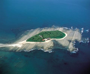 空中から見た青島