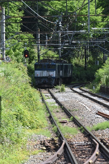 2021年7月3日撮影　篠ノ井線8087ﾚ　EF64更新色重連　冠着トンネルへと