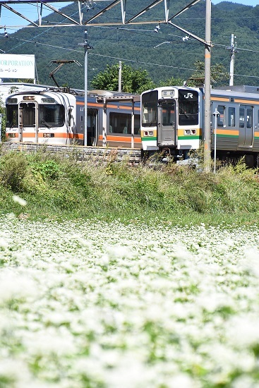 2021年9月19日撮影　飯田線は伊那新町駅にて　213系の「回送」幕と313系の並び