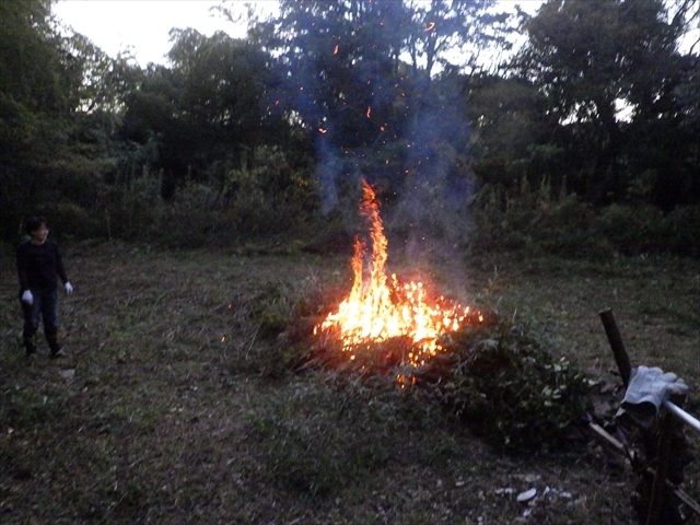 木を燃やした