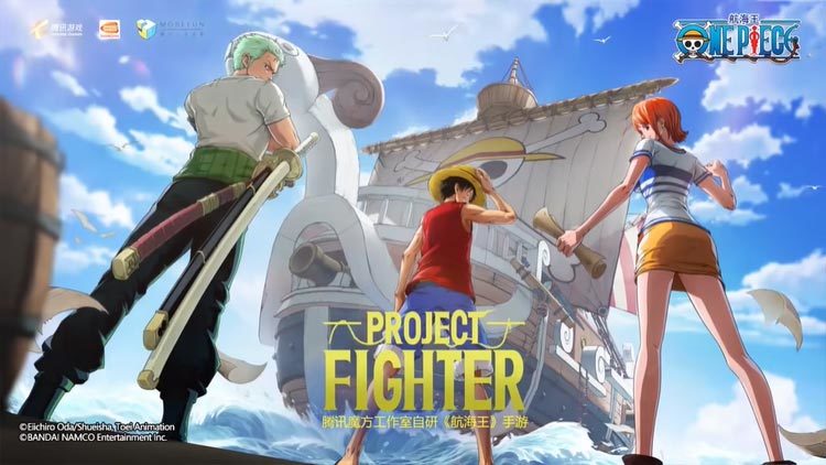 ワンピース　Project: Fighter