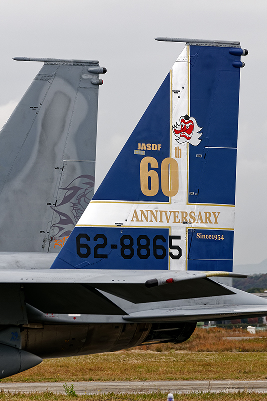第304飛行隊 F-15J 航空自衛隊60周年記念塗装機