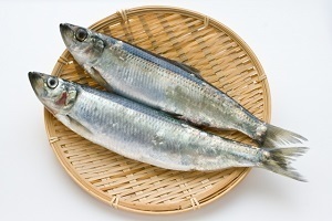 herring.jpg