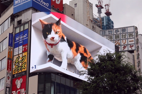 【動画追加】新宿駅前に新設された3D街頭ビジョンが凄い！　巨大猫が飛び出してくるように見えるらしい！　なお中国や韓国に劣ってる模様