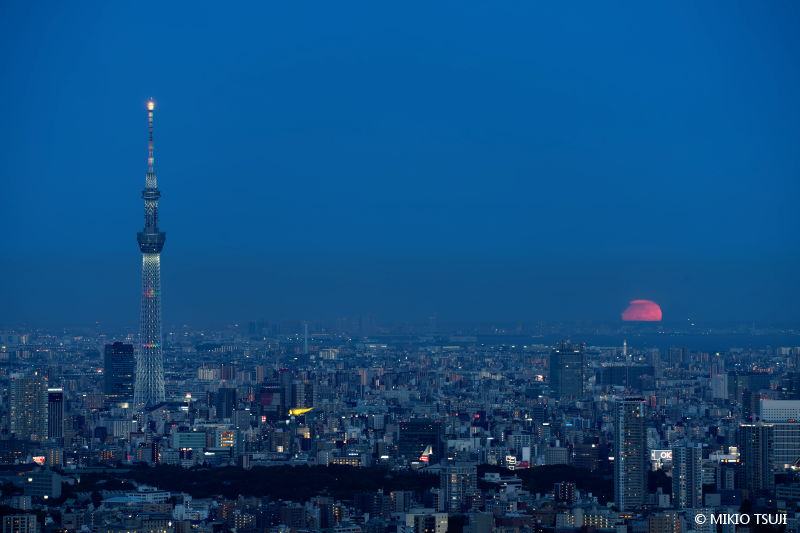 絶景探しの旅 - 絶景写真No.1802 東京湾に顔を出す満月 （東京都 豊島区）